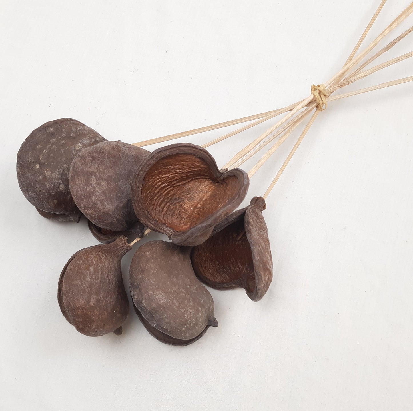 Dried-Badam-Pick-Natural-50cm