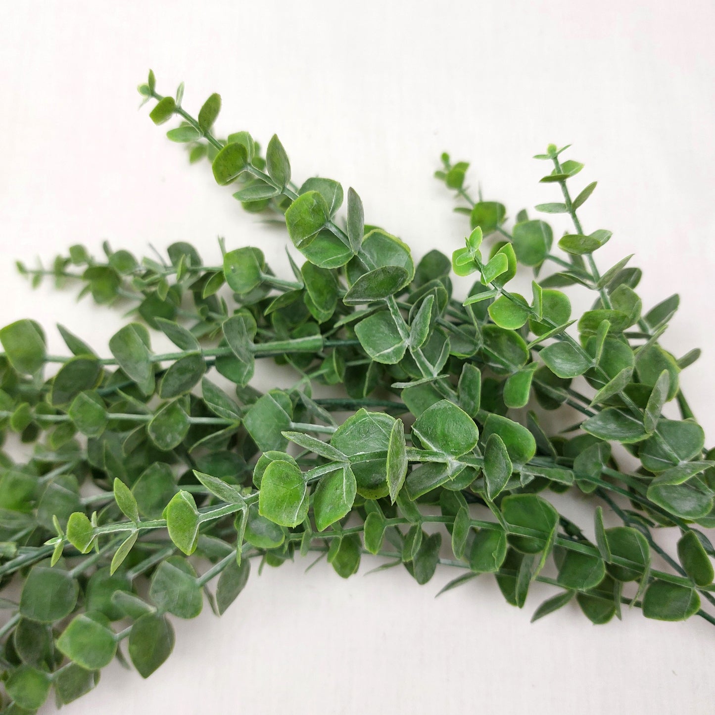Close up of Artificial Eucalyptus in a green colour against a white background