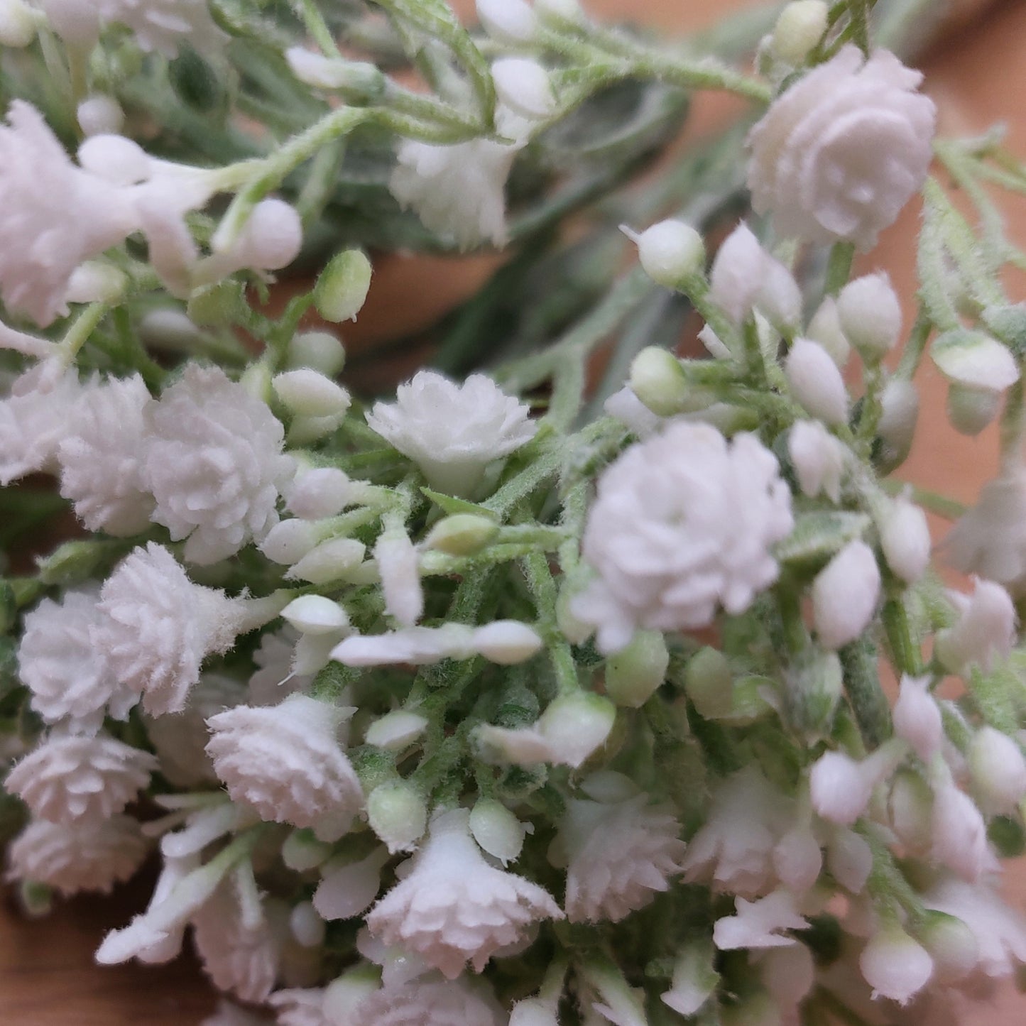 A close up of artificial White Gyp open flowers and buds