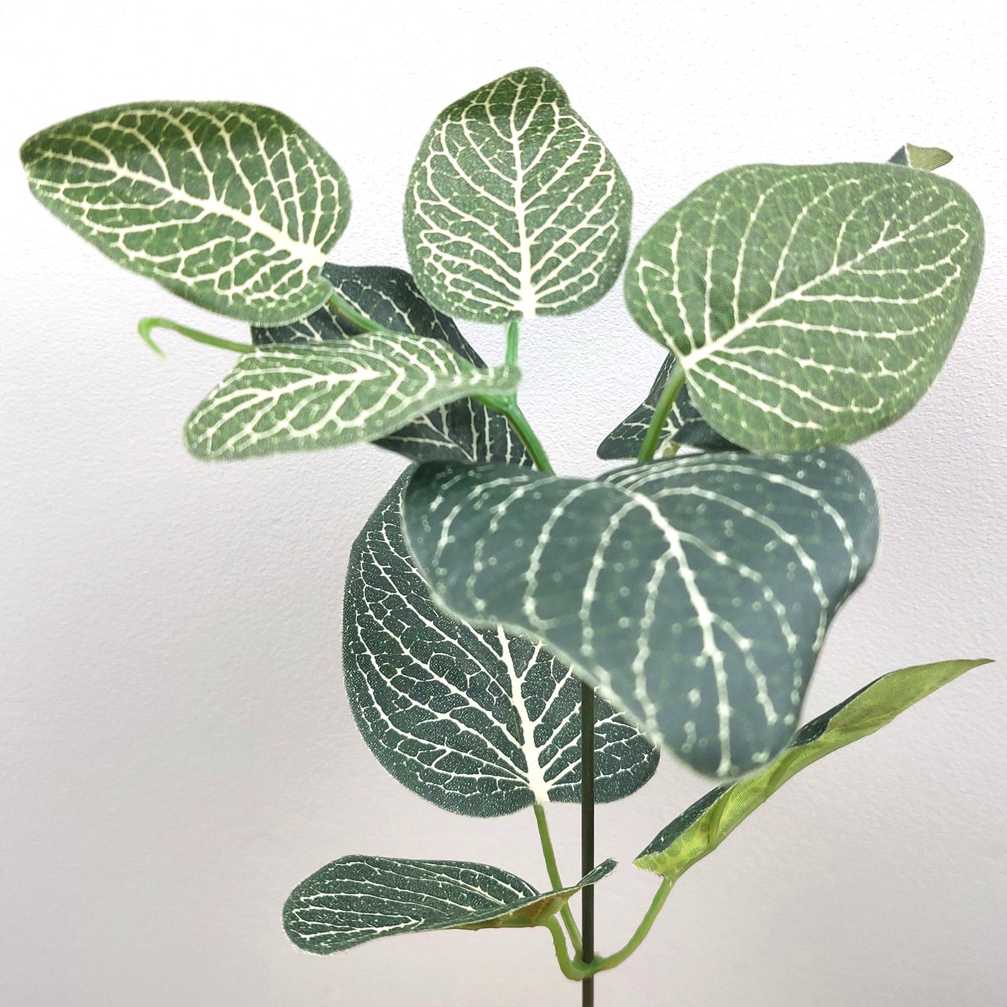 A spray of artificial green and ivory Fittonia leaves against a pale background