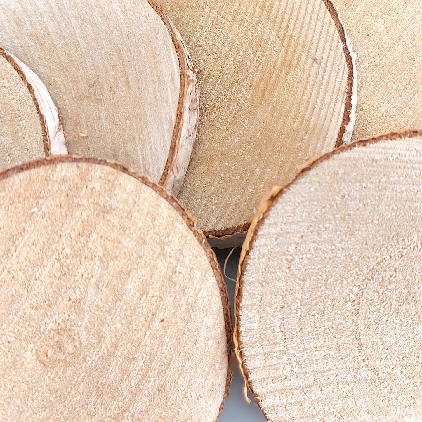 Close-up of sliced wooden logs with a neutral background