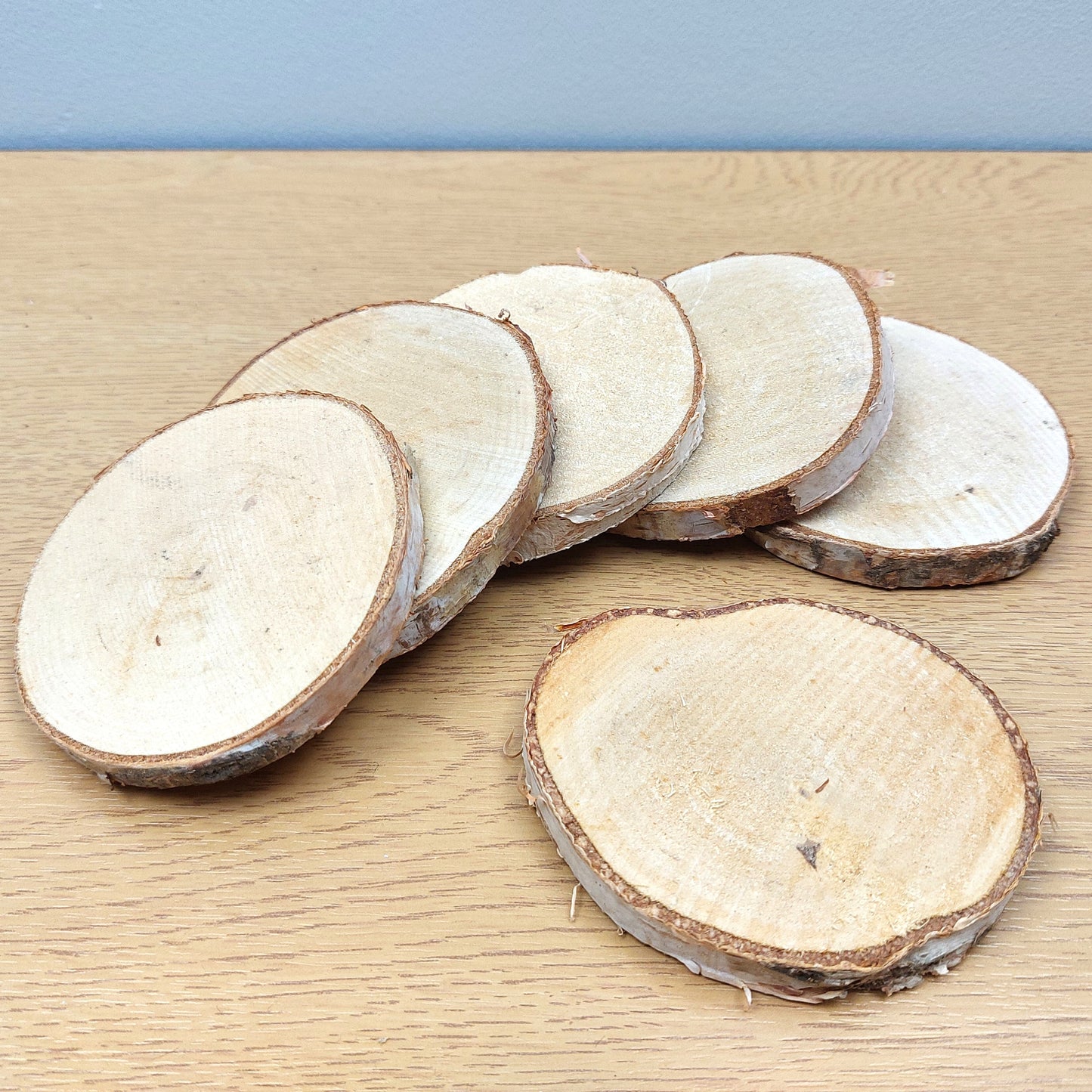 Sliced pieces of a birch tree on a wooden surface with a blue background