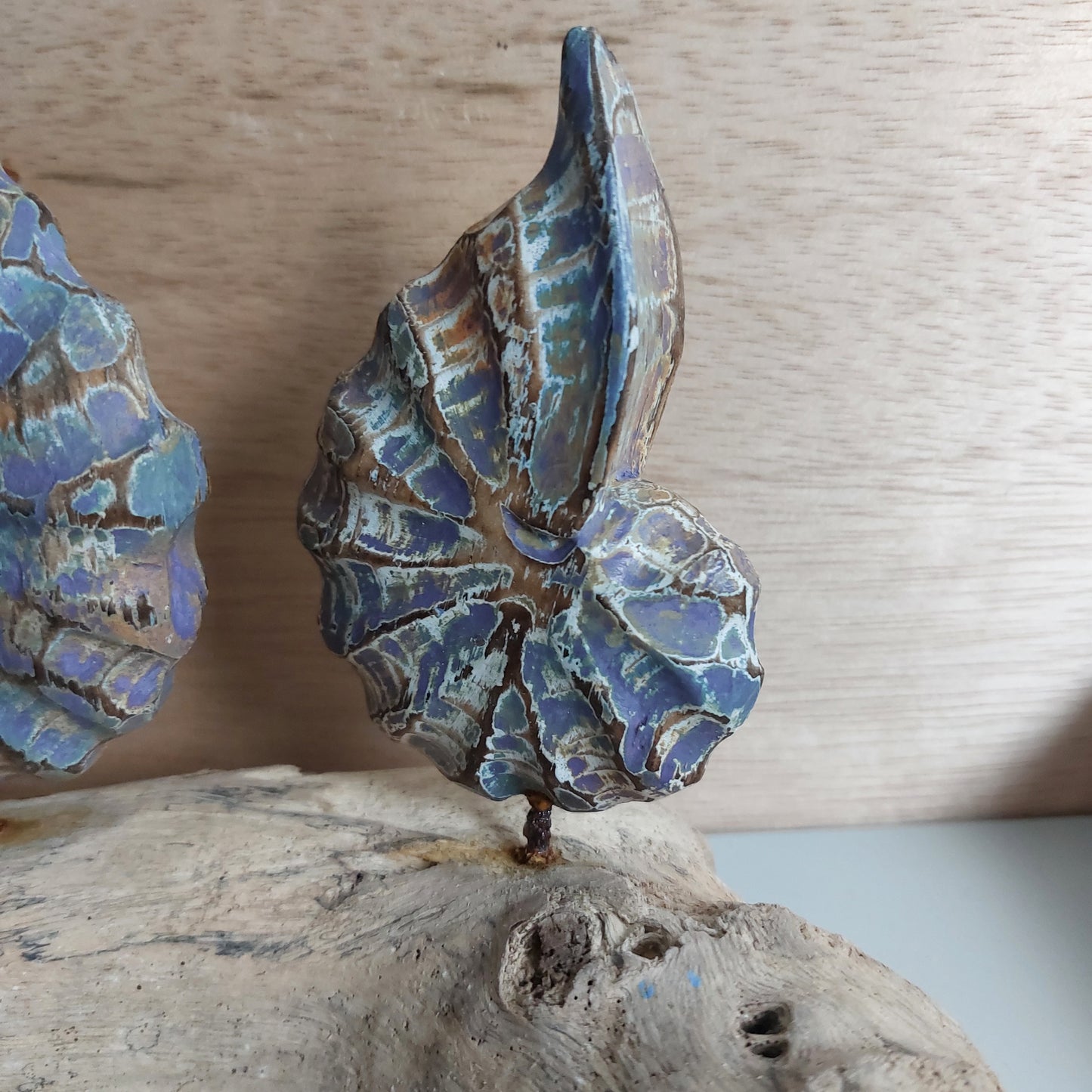 Close up of a wooden hand carved and painted shell, part of a set of three which are mounted on a wooden driftwood base against a wooden background