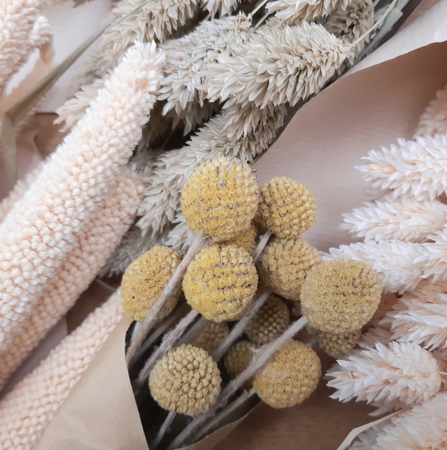 Dried-Flowers
