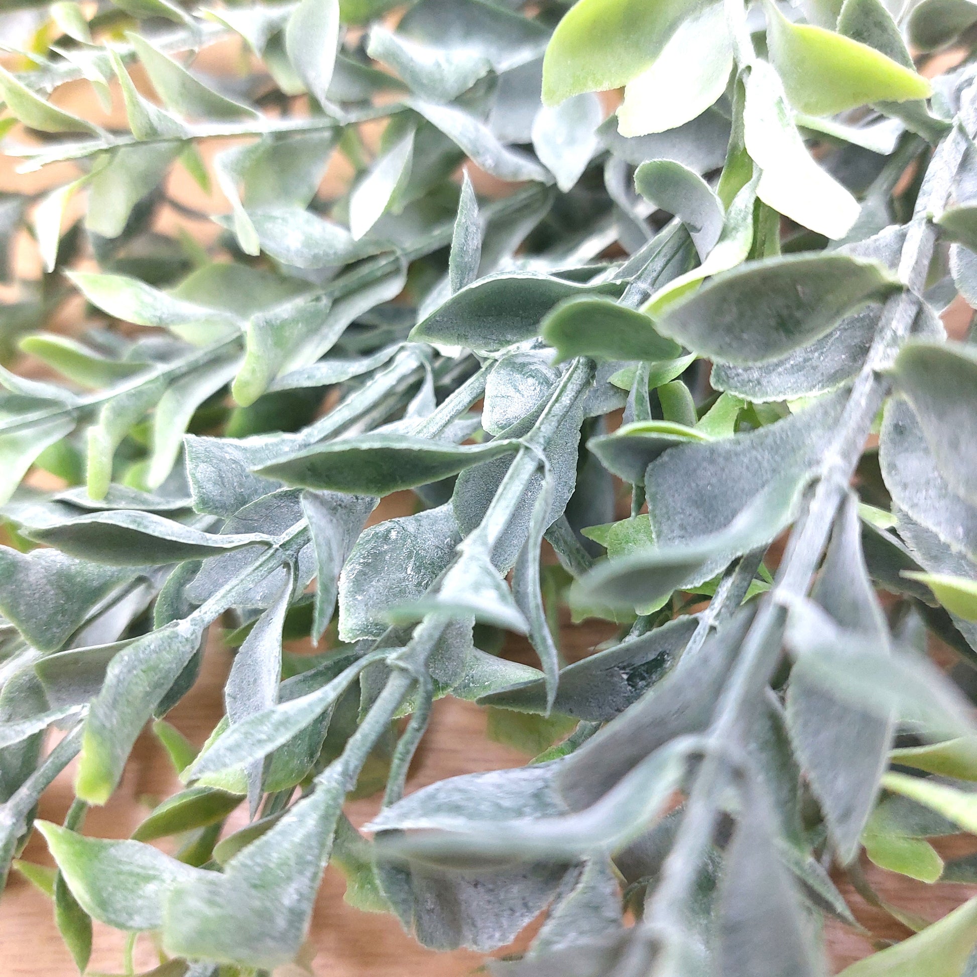 Close-up of artificial Parvifolia green foliage with dusty, matte-textured leaves on a light wood background.