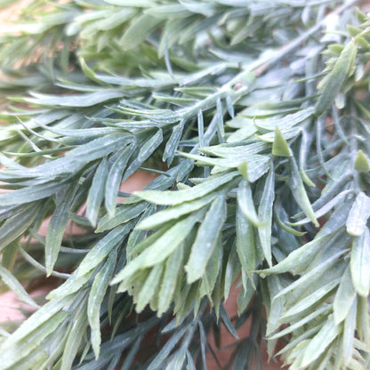 Close-up of an artificial green needle-like evergreen branch with dense, slender leaves.
