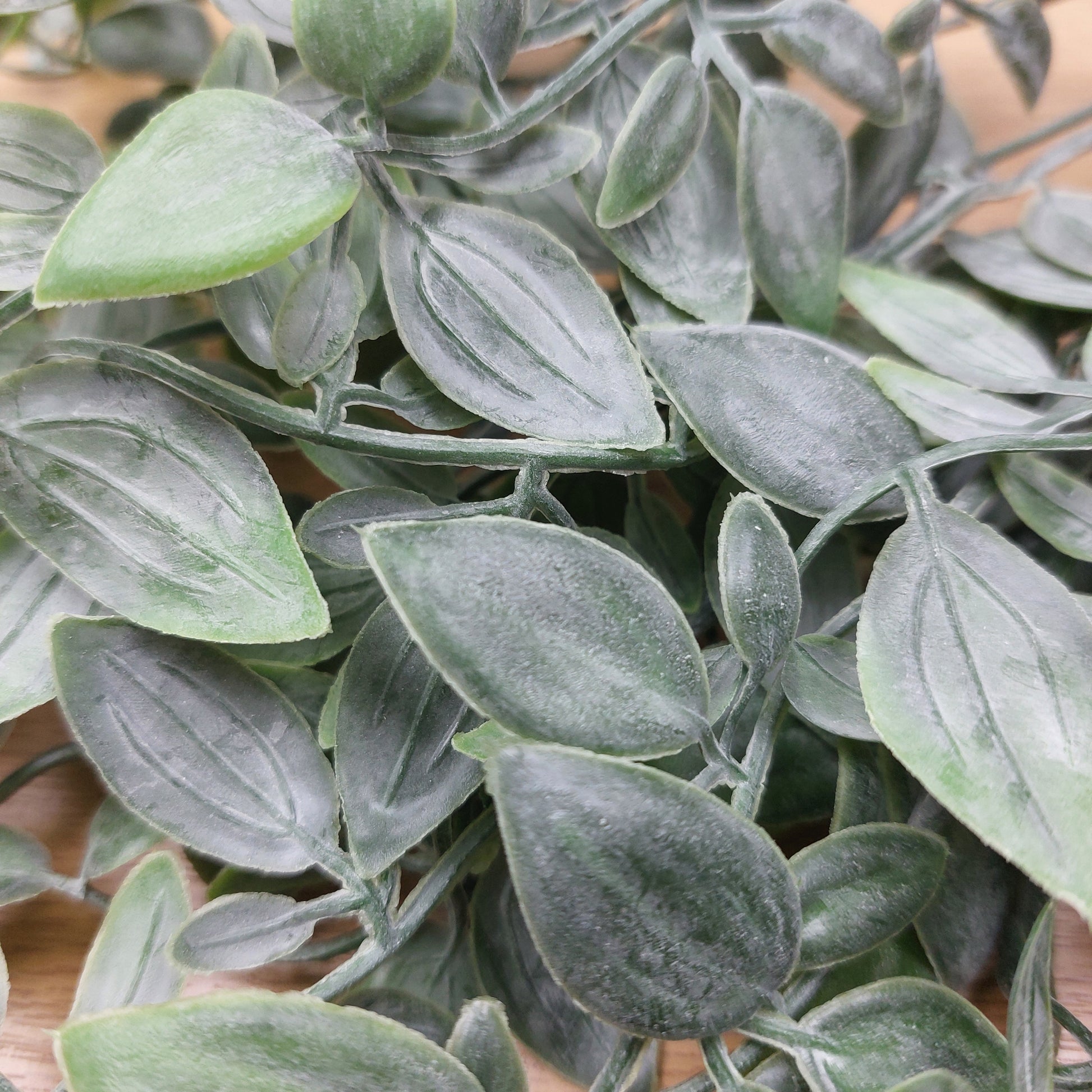 Close-up of artificial green ruscus foliage with textured, dusty-look leaves on a wooden surface.