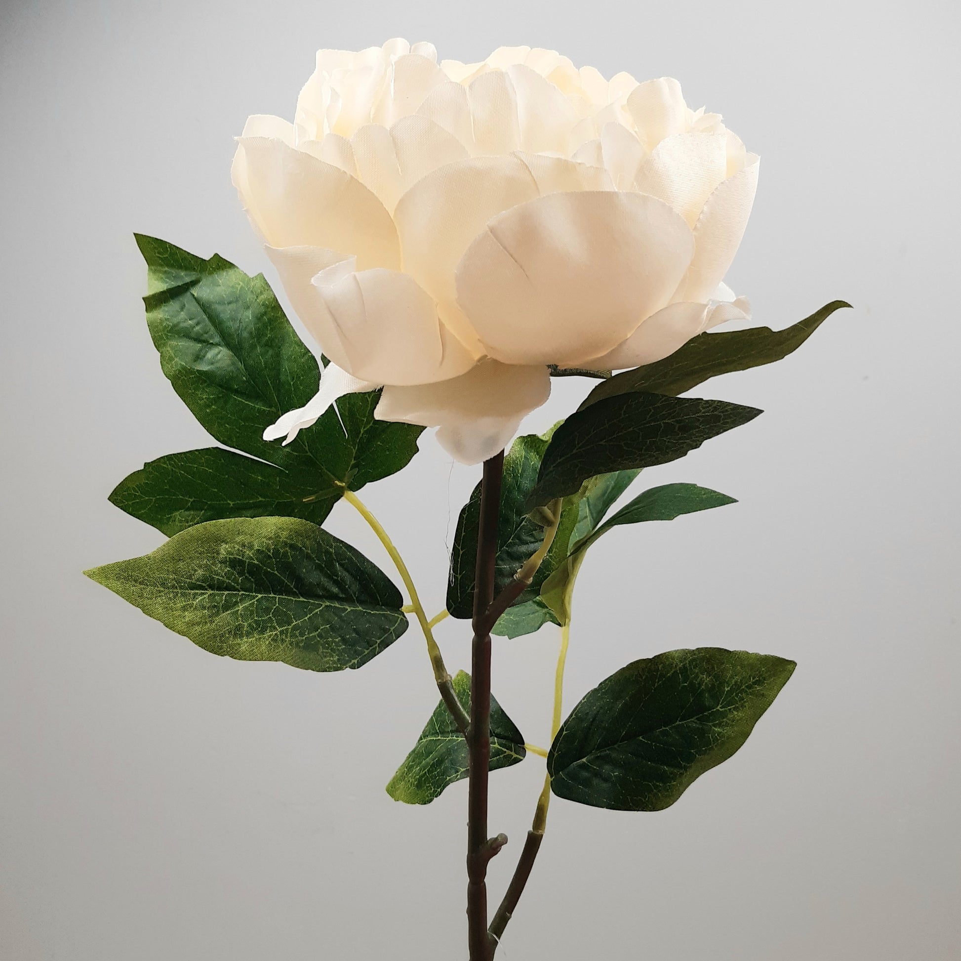 A lifelike artificial Ivory Faux Aurora Peony flower with green leaves on a stem.