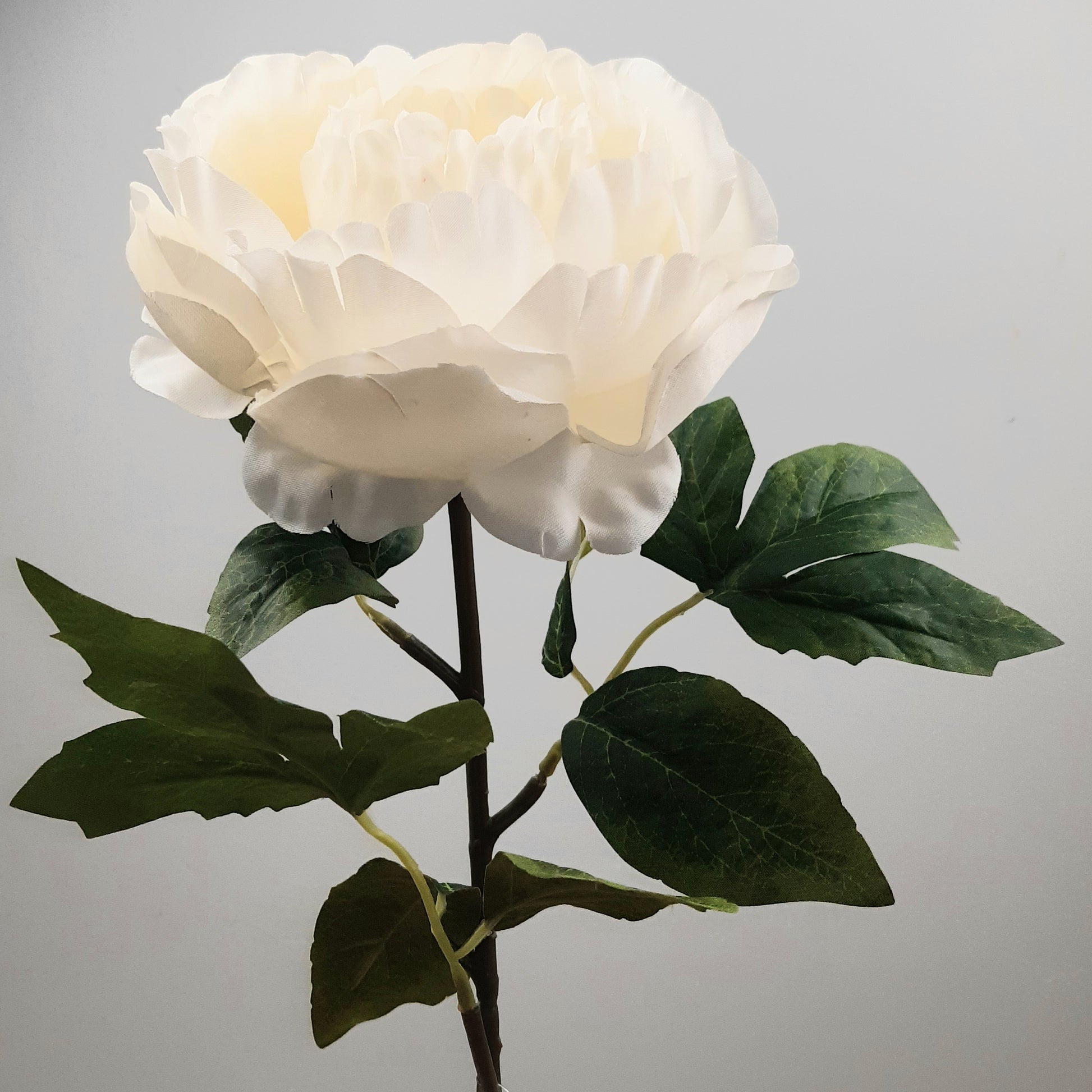 A lifelike artificial white faux aurora peony flower stem with green leaves.