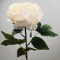 Faux-Aurora-Peony-White-62cm