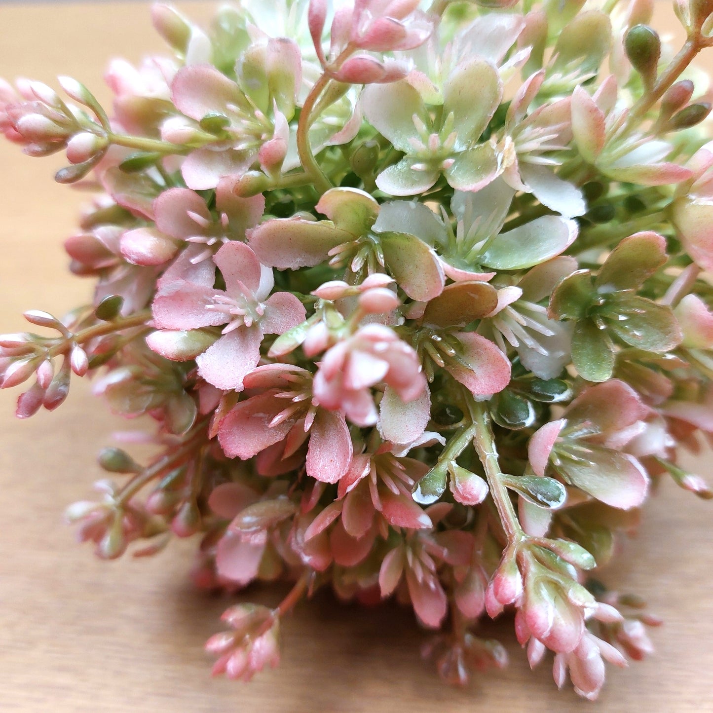 Close-up of artificial pink and green allium plants on a wooden surface