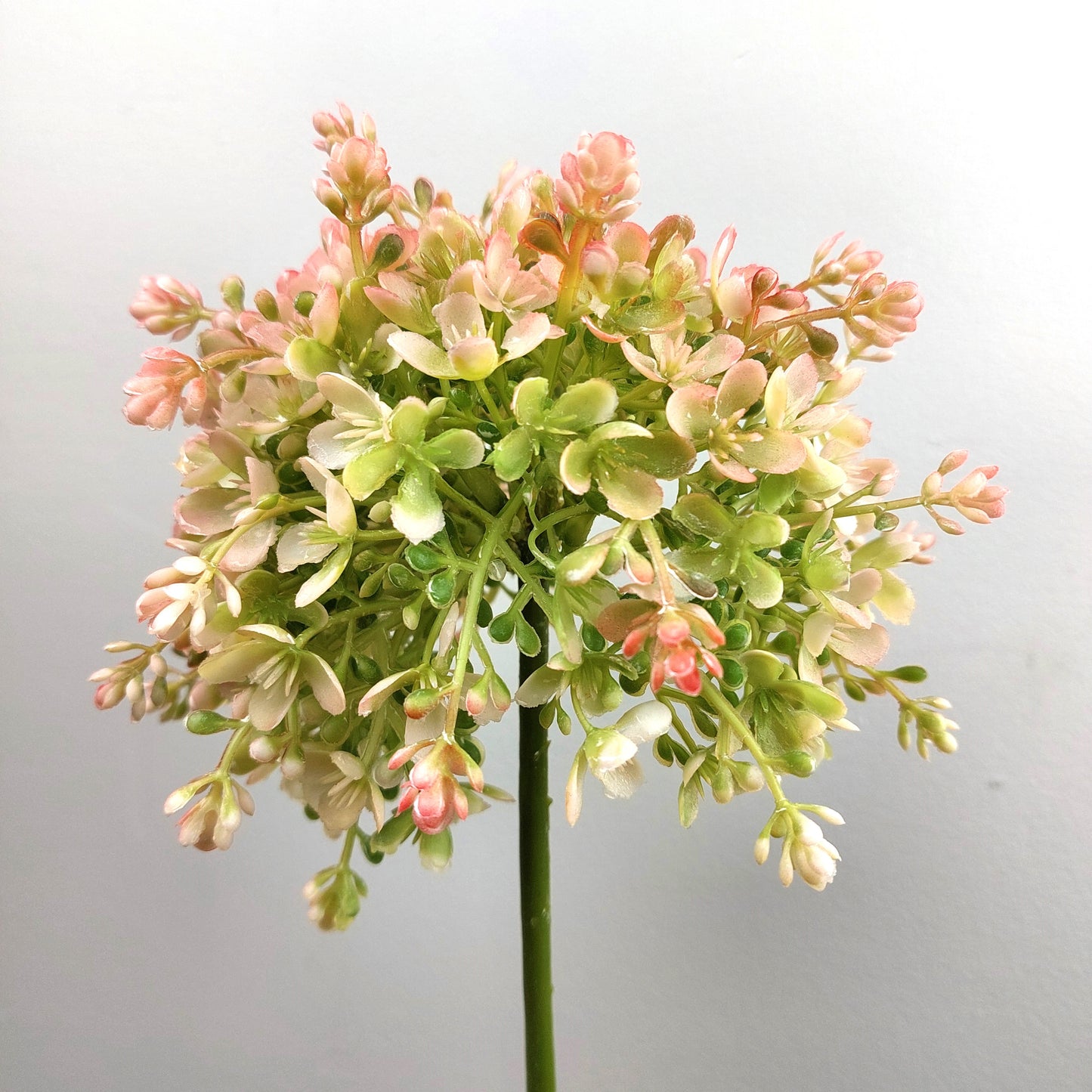 An artificial Pink and Green Allium flower and stem against a pale background