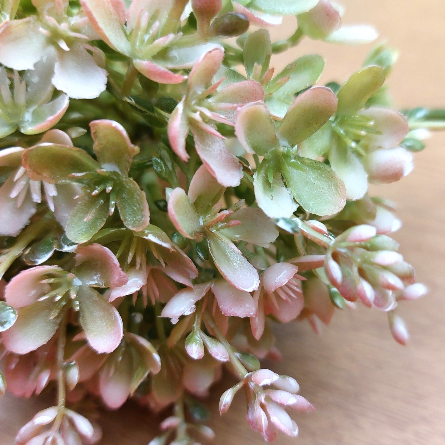 Close-up of pink and green artificial alliumflowers on a wooden surface