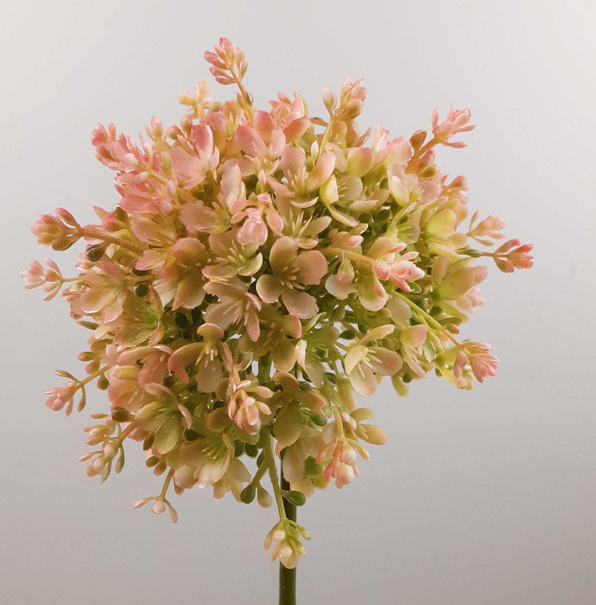 A lifelike artificial floral decoration resembling a pink and green allium, 68cm in height.