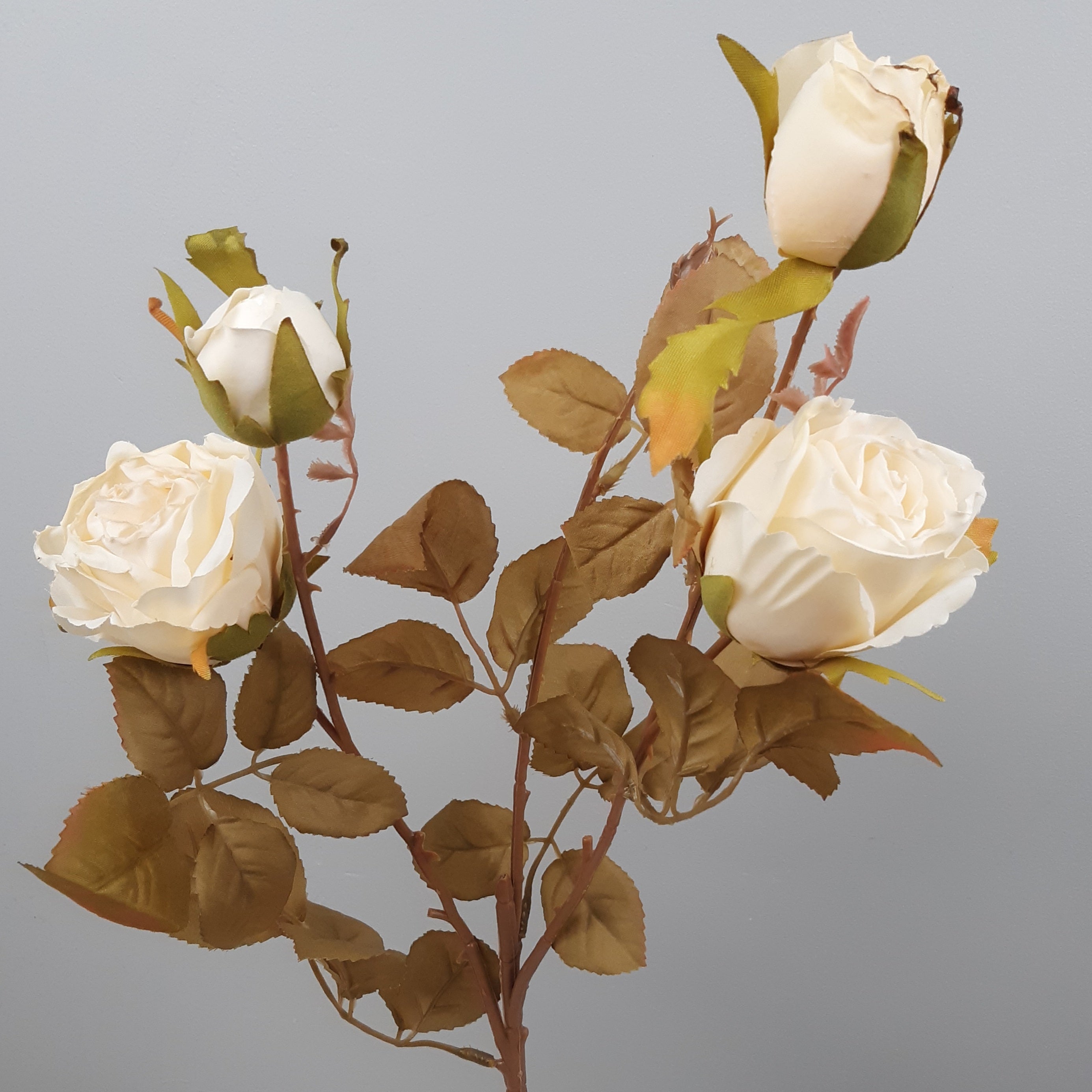 Faux Dried Look Cabbage Rose Spray Cream 64cm
