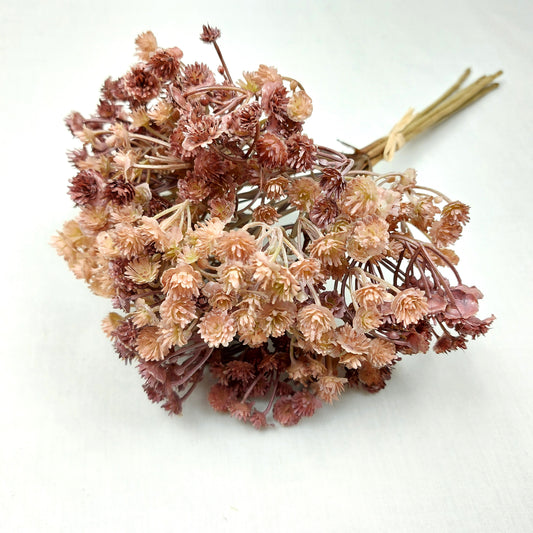 Artificial Bouquet of dried look flowers on a white background