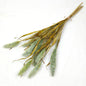 Artificial Dried Look Green Bunny Tails against a white background