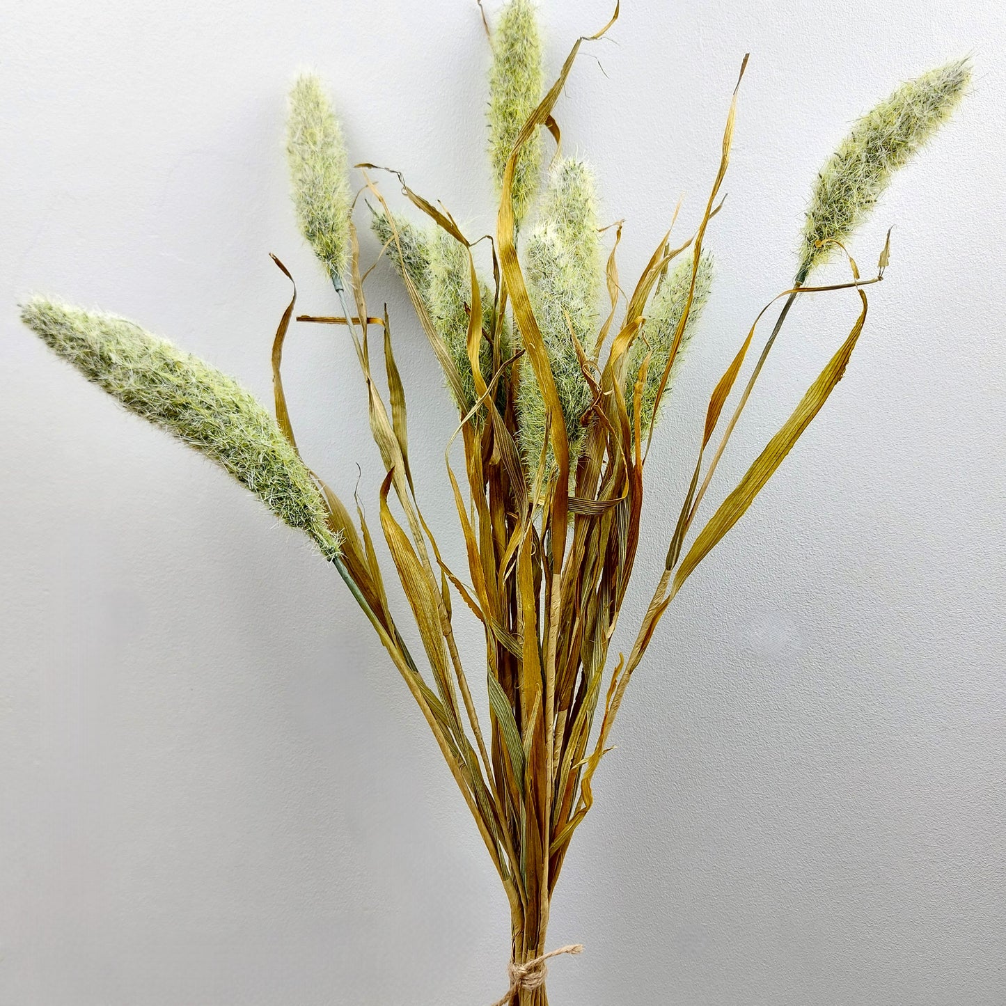 Bouquet of dried look faux bunny tails on a light gray background