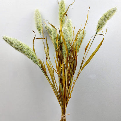 Bouquet of dried look faux bunny tails on a light gray background