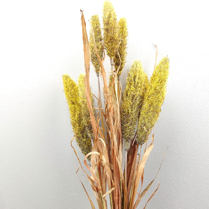 Bouquet of dried look faux yellow and brown bunny tail reed grasses on a light gray background