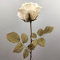 Artificial Dried look Cream rose with green leaves on a gray background