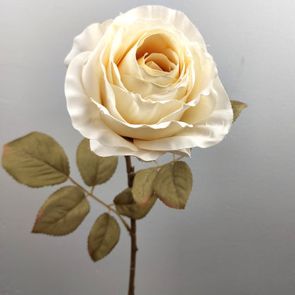 An artificial Cream dried look rose with green leaves on a gray background