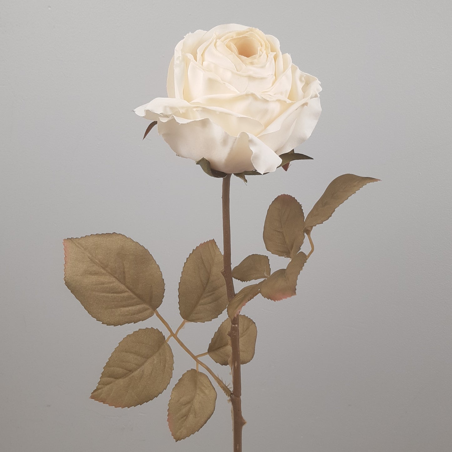 A single cream-colored artificial rose stem with dried look leaves, isolated on a gray background.