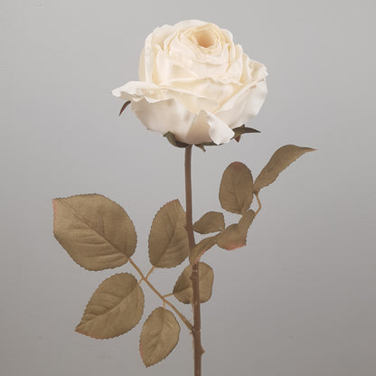 A single cream-colored artificial rose stem with dried look leaves, isolated on a gray background.