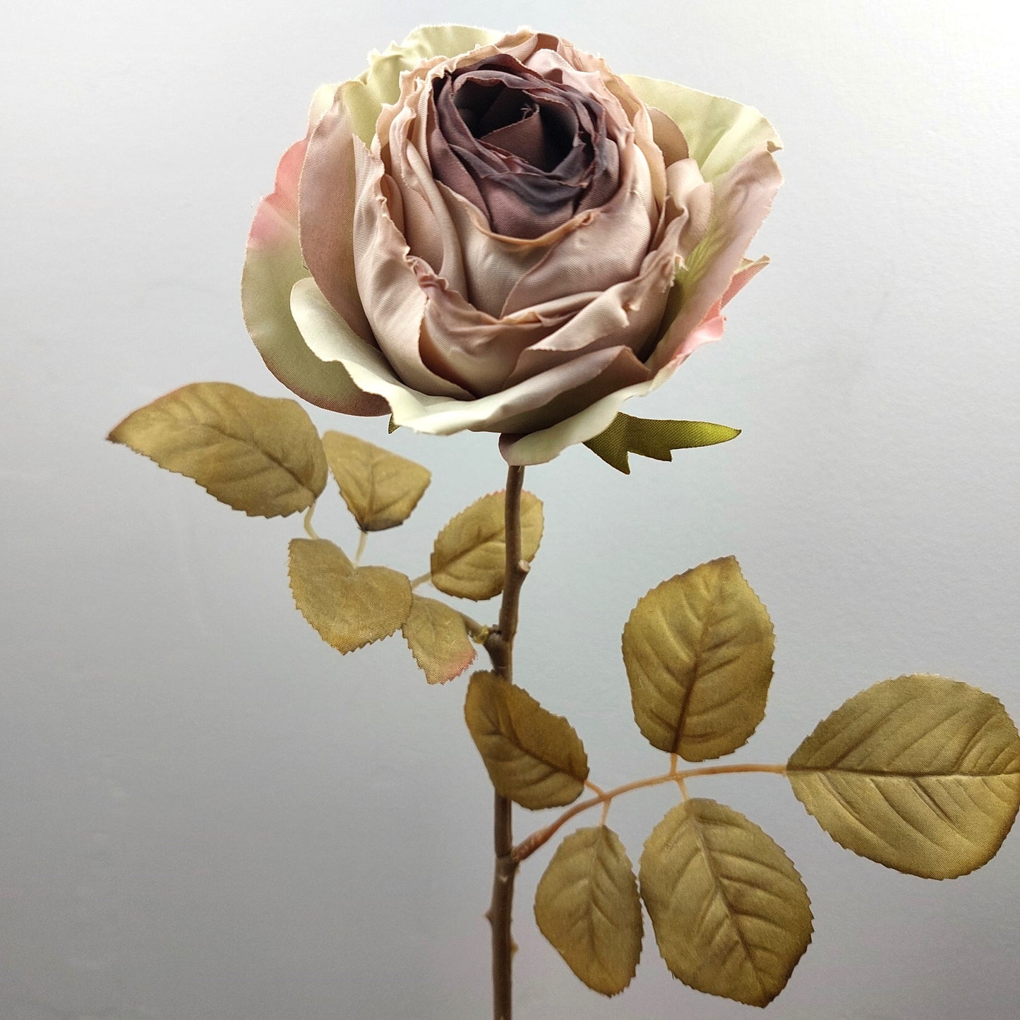 Single dried look artificial cabbage rose with green leaves on a light gray background