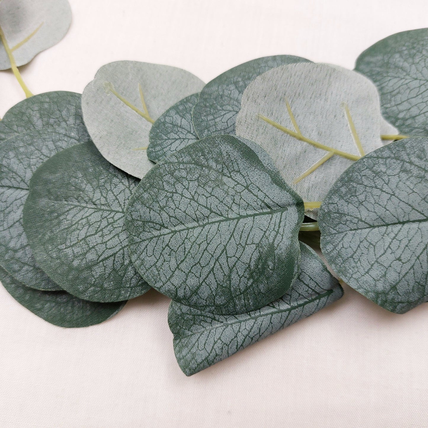 Close up of Artificial eucalyptus leaves on a light background