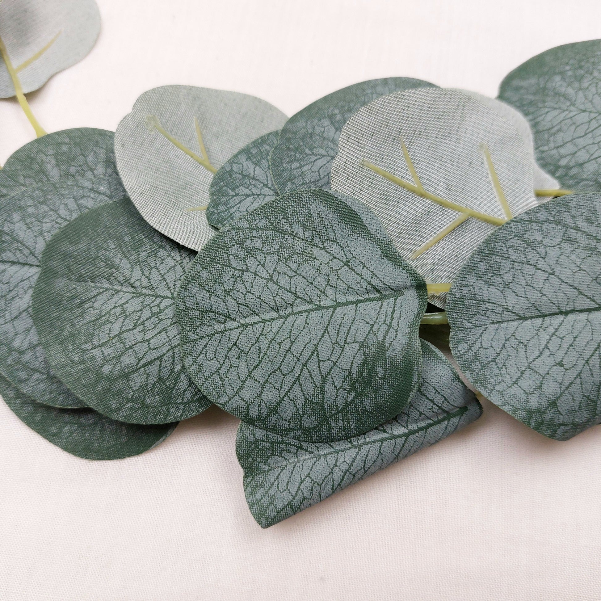 Close up of Artificial eucalyptus leaves on a light background