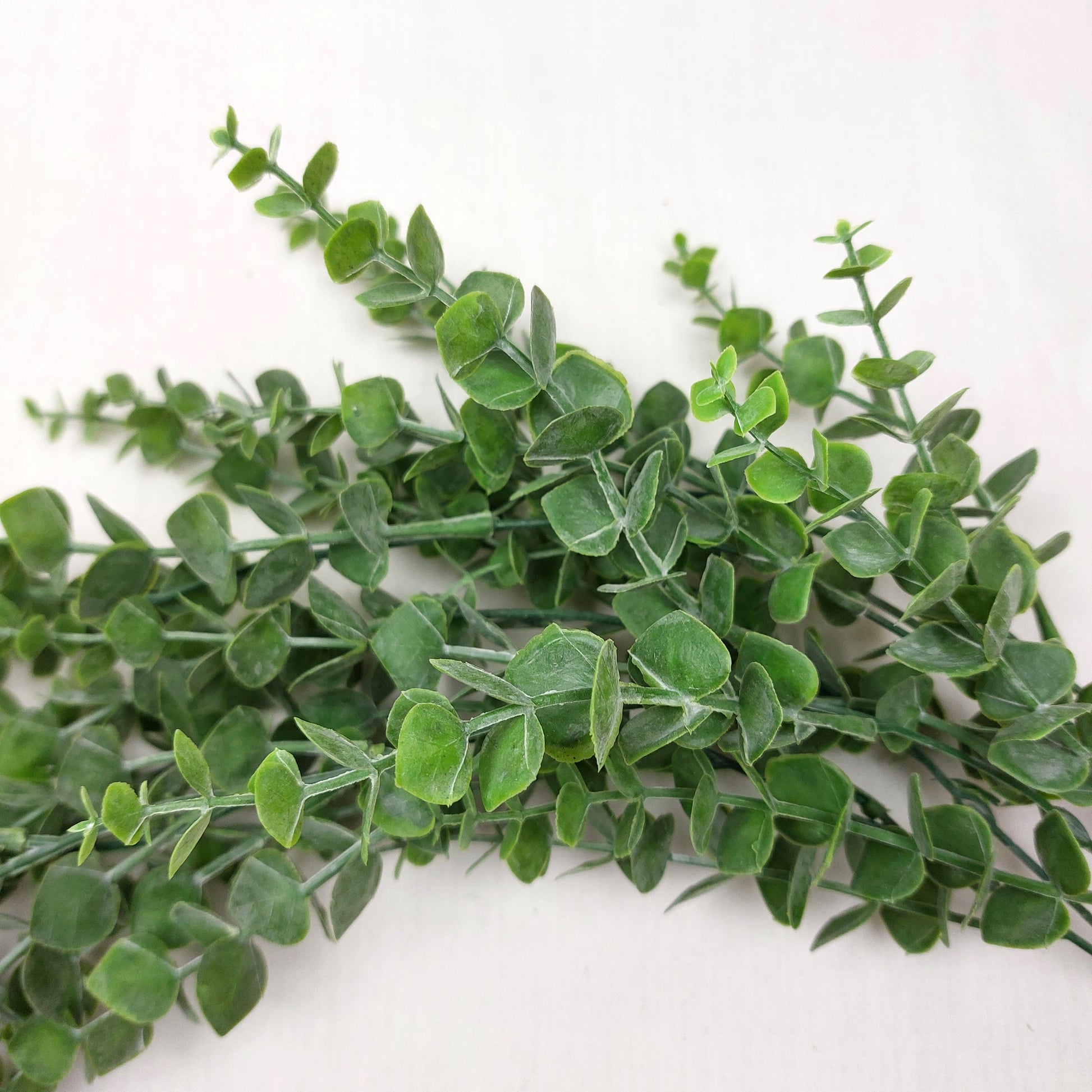 Close up of Artificial Eucalyptus in a green colour against a white background
