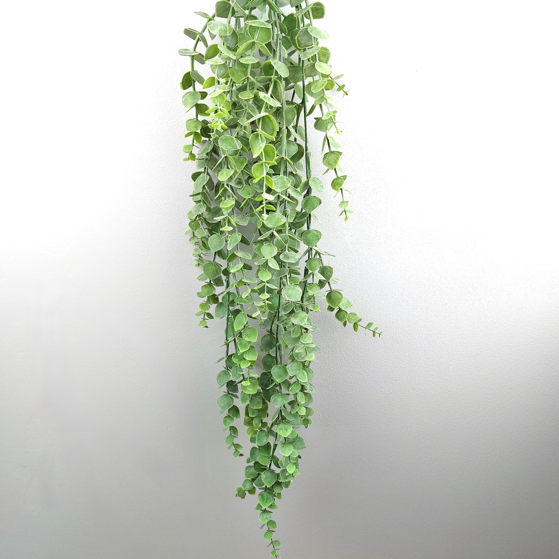Artificial Green Eucalyptus hanging against a grey backdrop