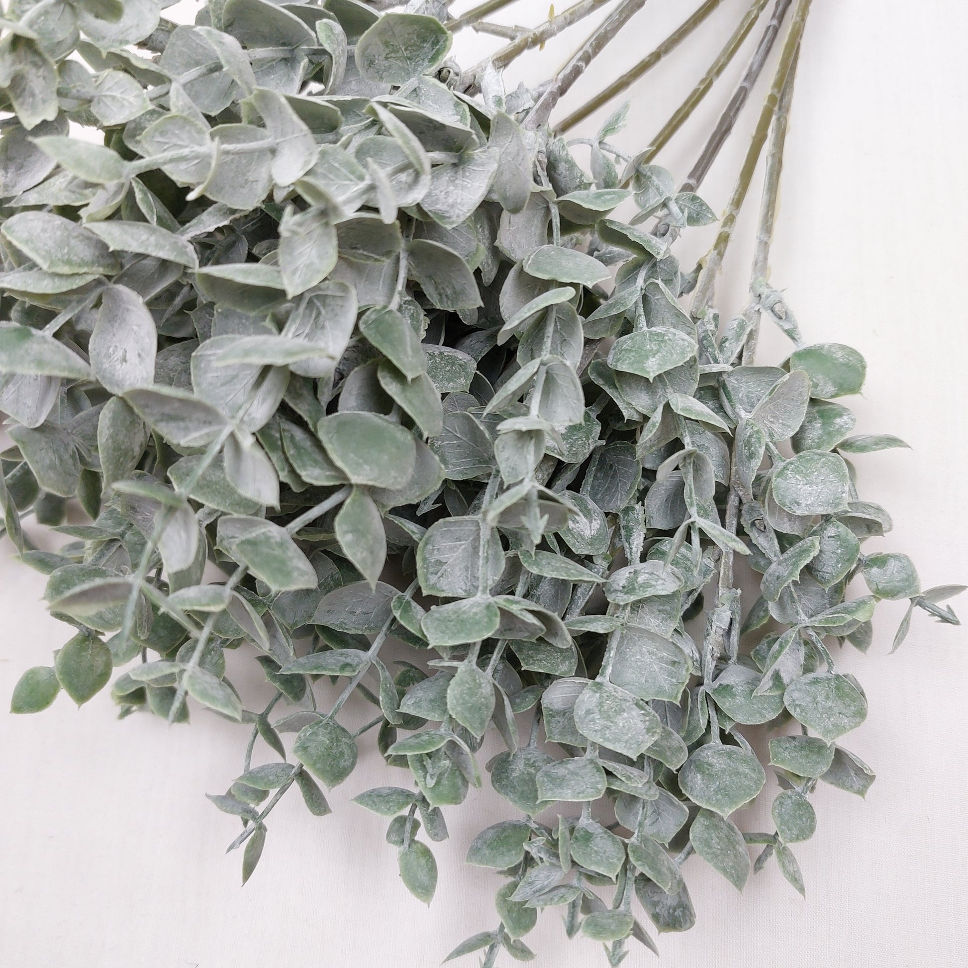 Close up of artificial Eucalyptus greenery against a white background
