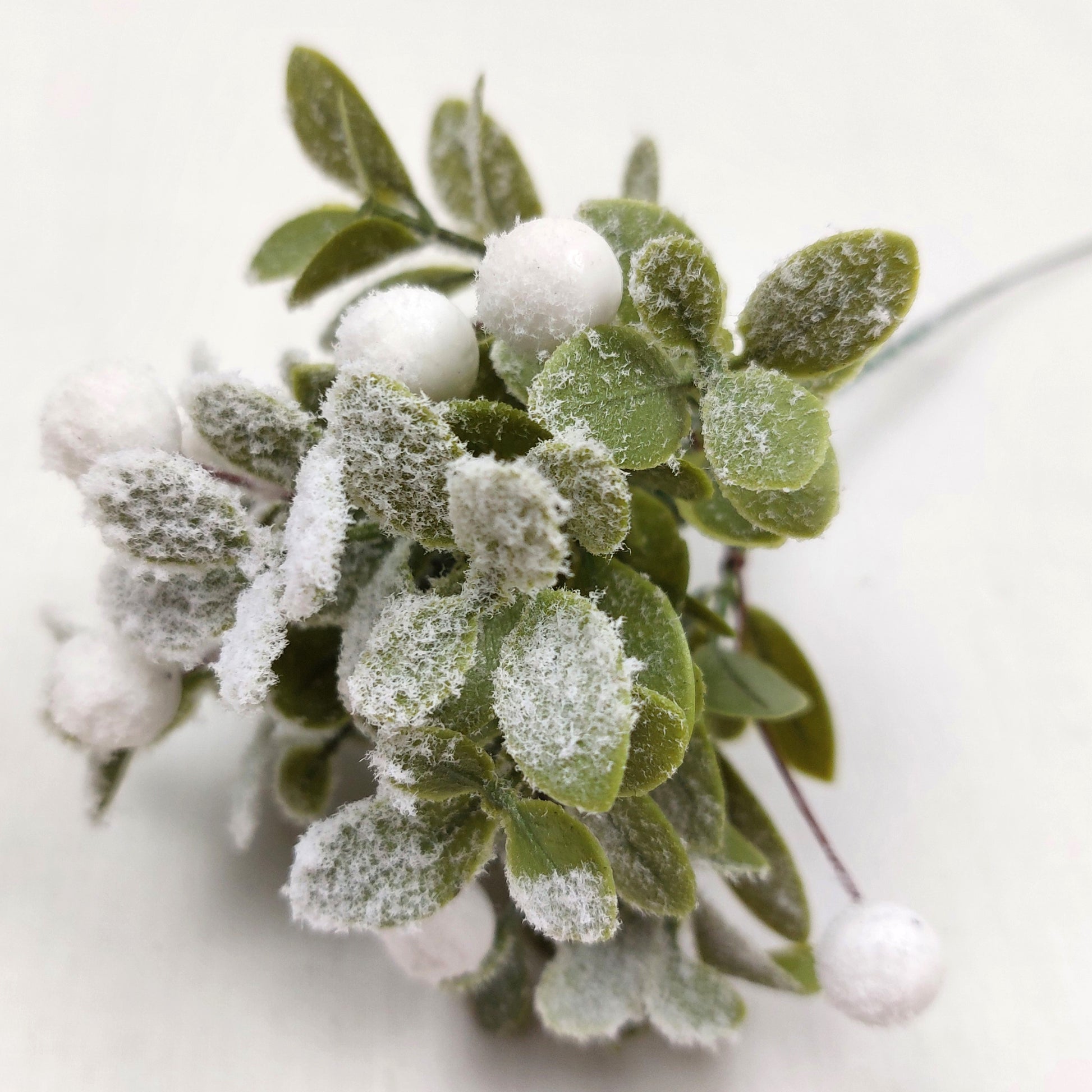 Close up of Faux Frosted green leaves and white berries on a white background