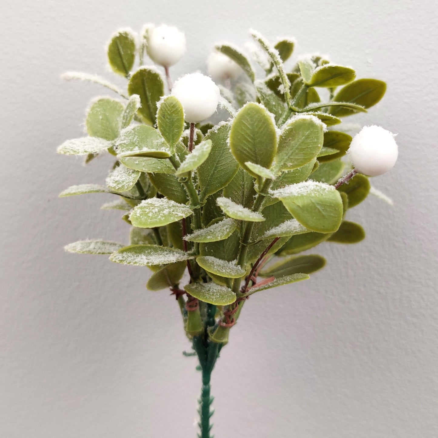 Artificial green leaf Mistletoe branch with white berries on a plain background