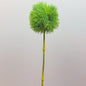 Artificial Green Trick Dianthus decorative Pom Pom flower on a white background