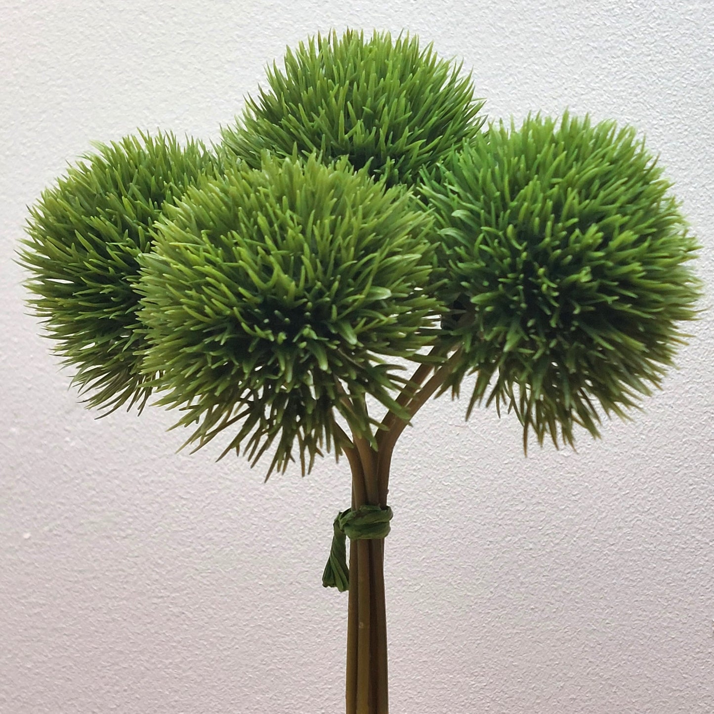 Artificial green Dianthus Pom Pom plants with a gray background
