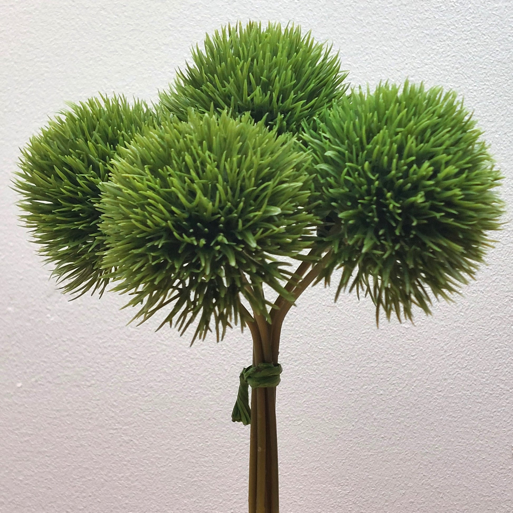 Artificial green Dianthus Pom Pom plants with a gray background