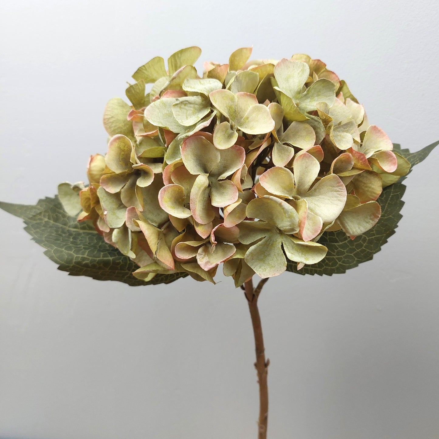 Artificial hydrangea flower with stem  with green and pink hues on a light gray background.