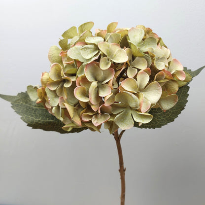 Artificial hydrangea flower with stem  with green and pink hues on a light gray background.