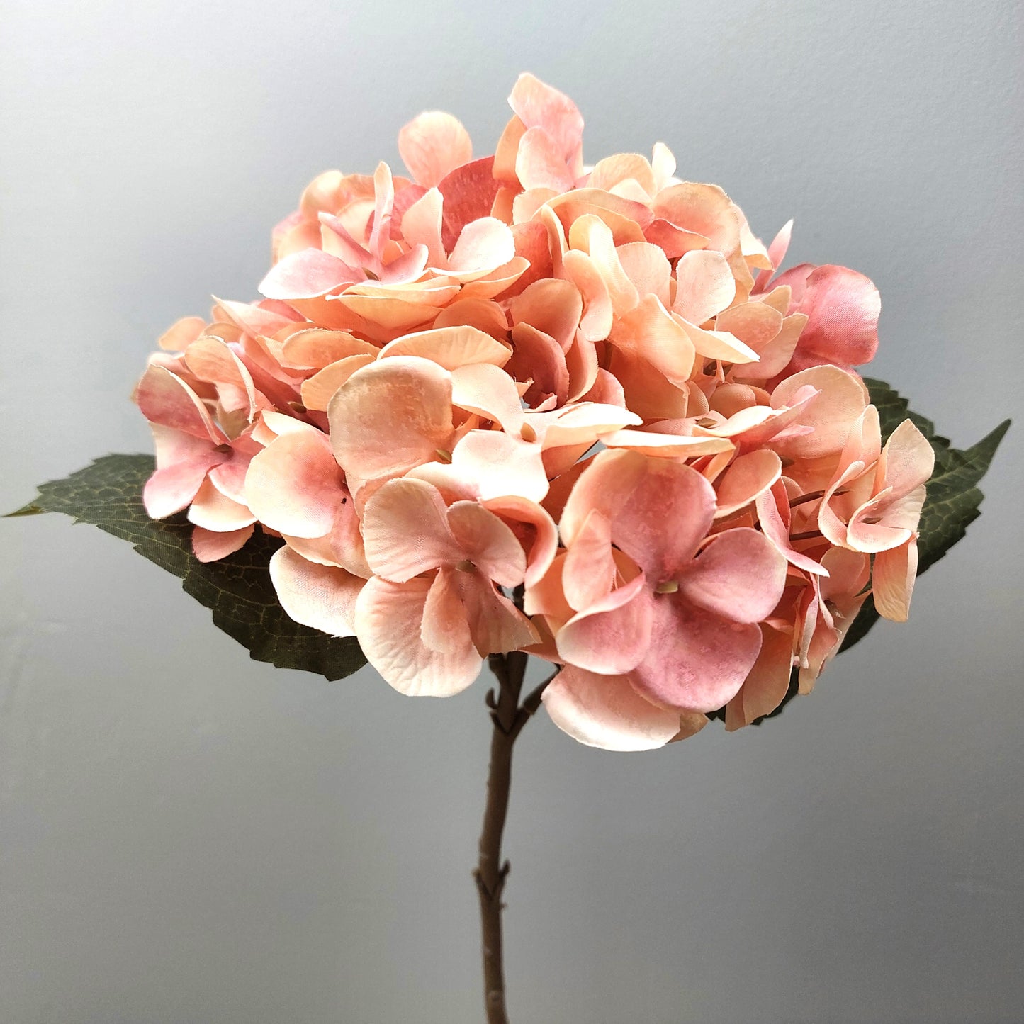 Artificial Pink hydrangea flower on a gray background