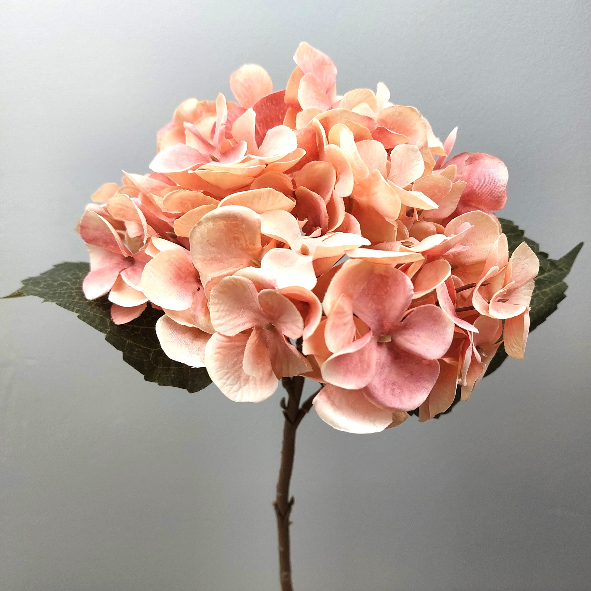 Artificial Pink hydrangea flower on a gray background