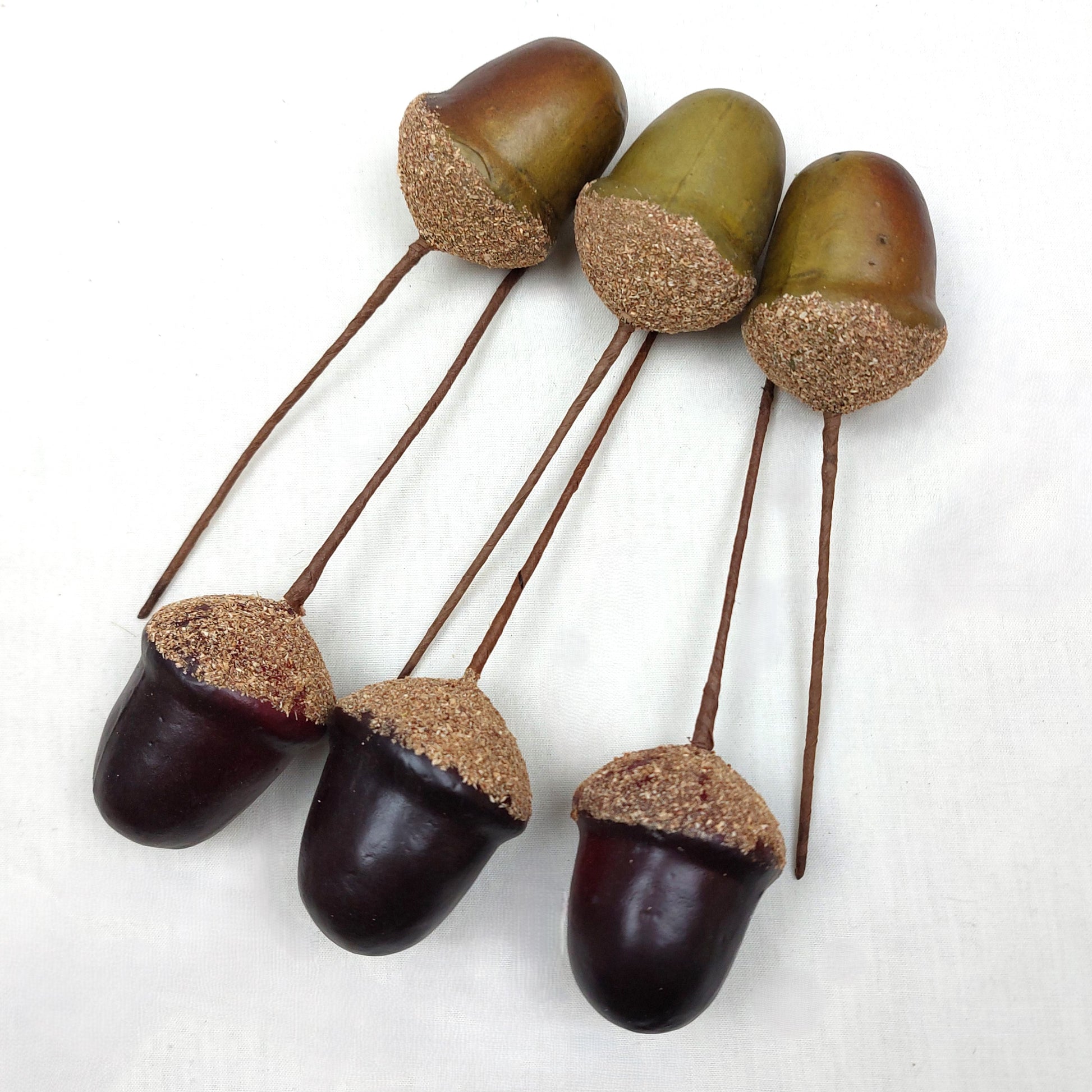 Artificial Acorns on sticks arranged on a white background
