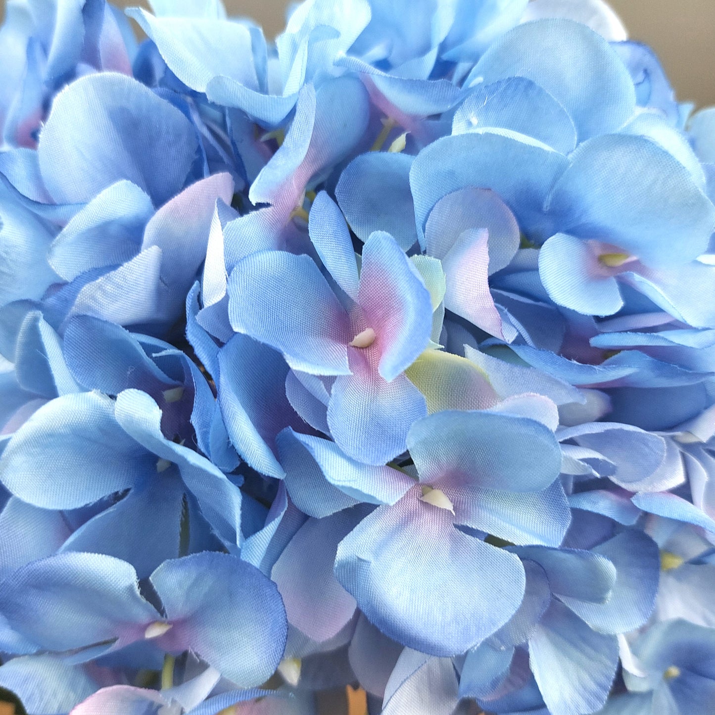 Close up of Blue petals from an artificial Mophead Hydrangea