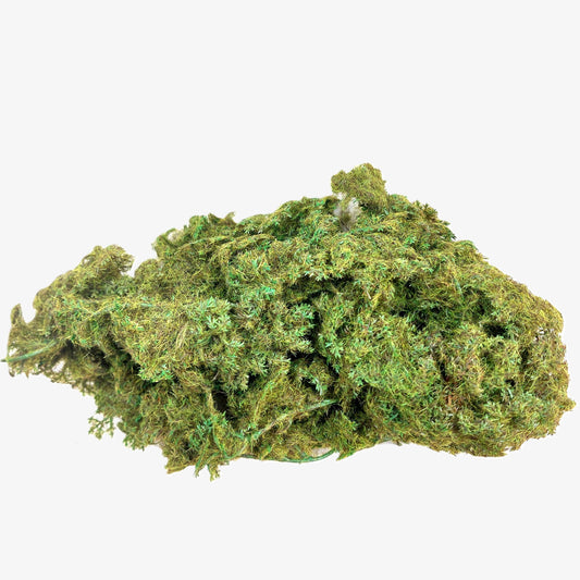 Artificial Green and yellow moss on a white background