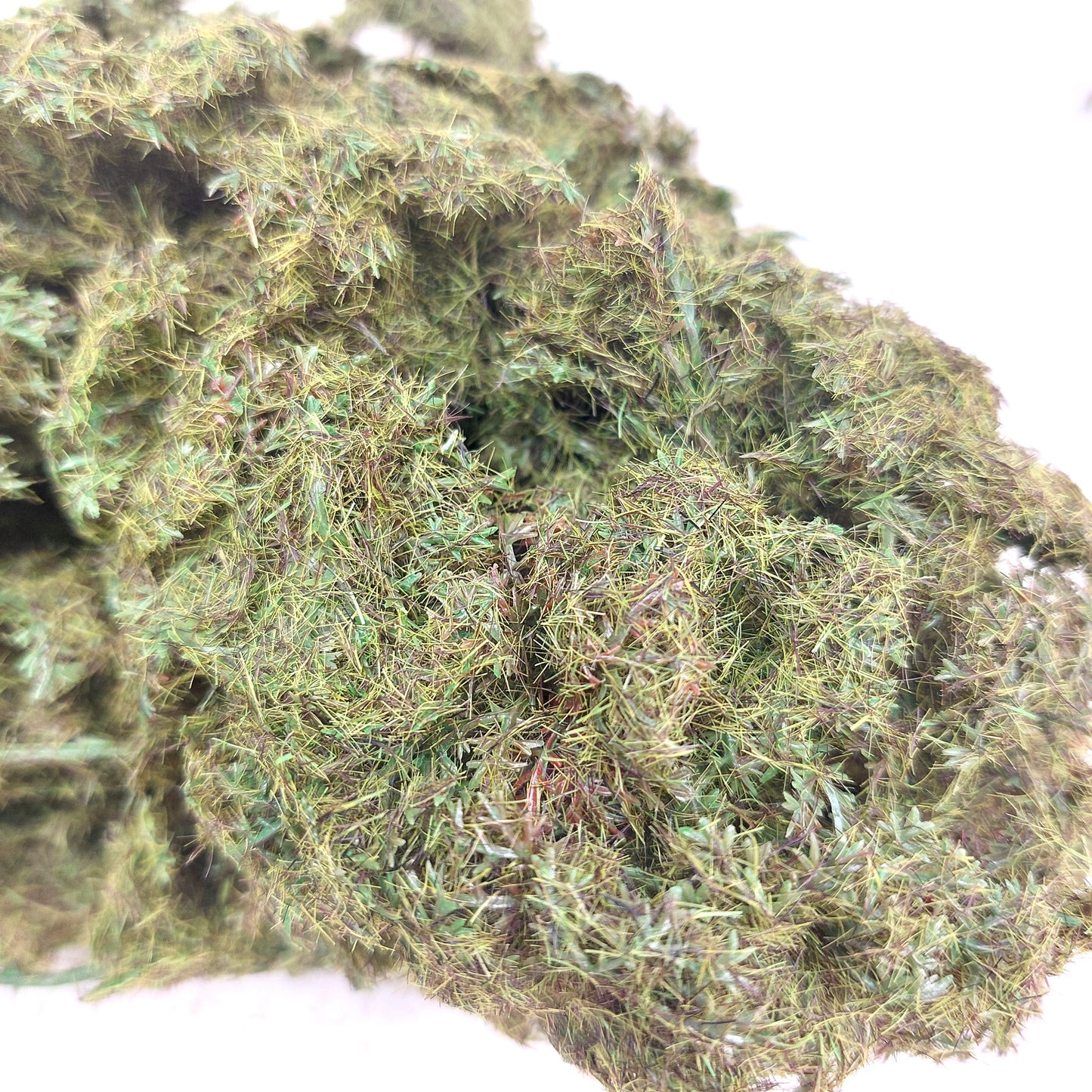 Close-up of a piece of green artificial moss on a white background