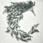Artificial green eucalyptus leaves on a white background