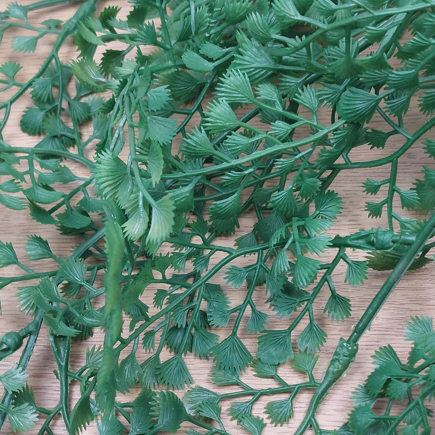 Close up of Green artificial Maidenhair Vine leaves on a wooden surface.
