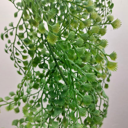 Artificial trailing green leaves on a white background